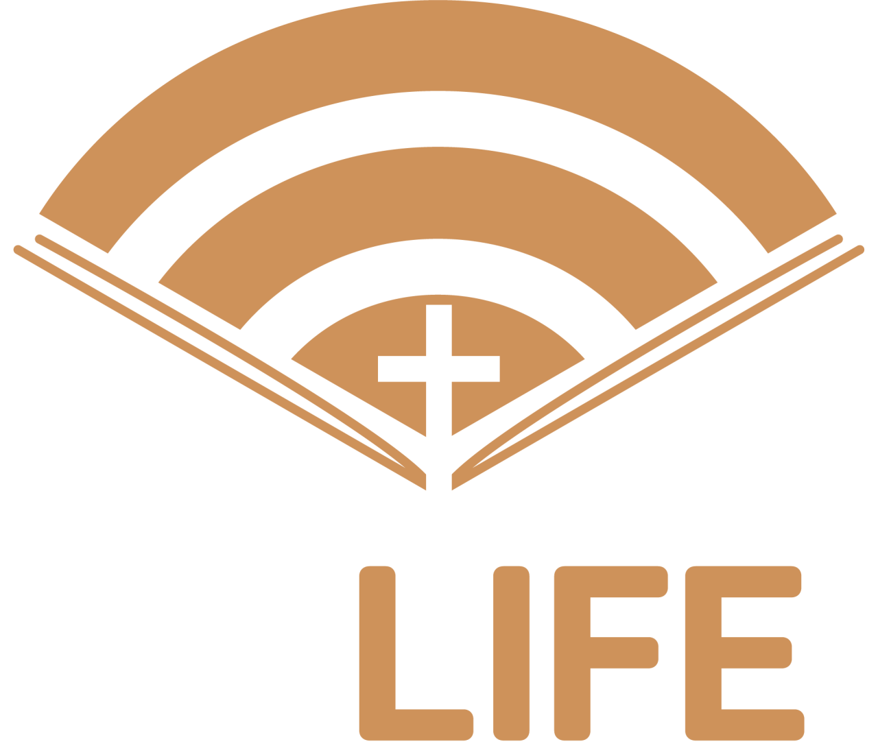 Entities FC Life entities-fc-life